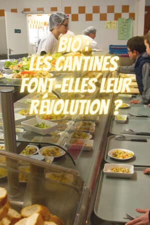 Bio : les cantines font-elles leur révolution ?